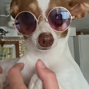 Meet your Posher, Cindy